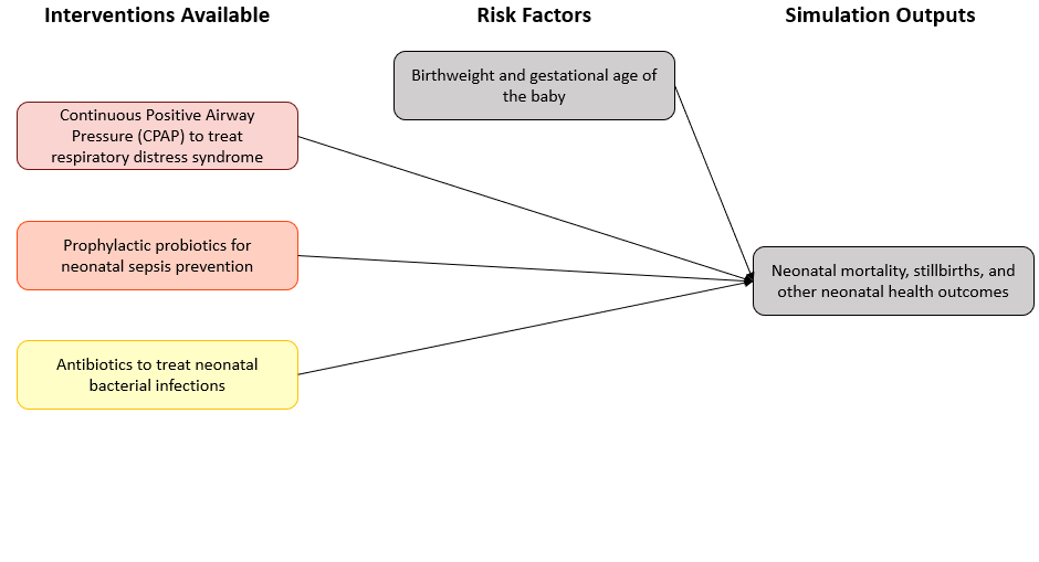 ../../../_images/neonatal_figure_overview.png